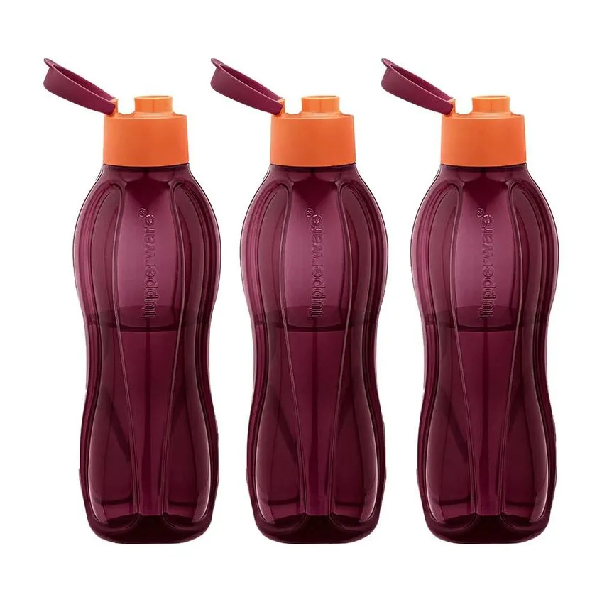 Kit 3 Garrafas De Água Tupperware Eco Tupper Merlot 1l