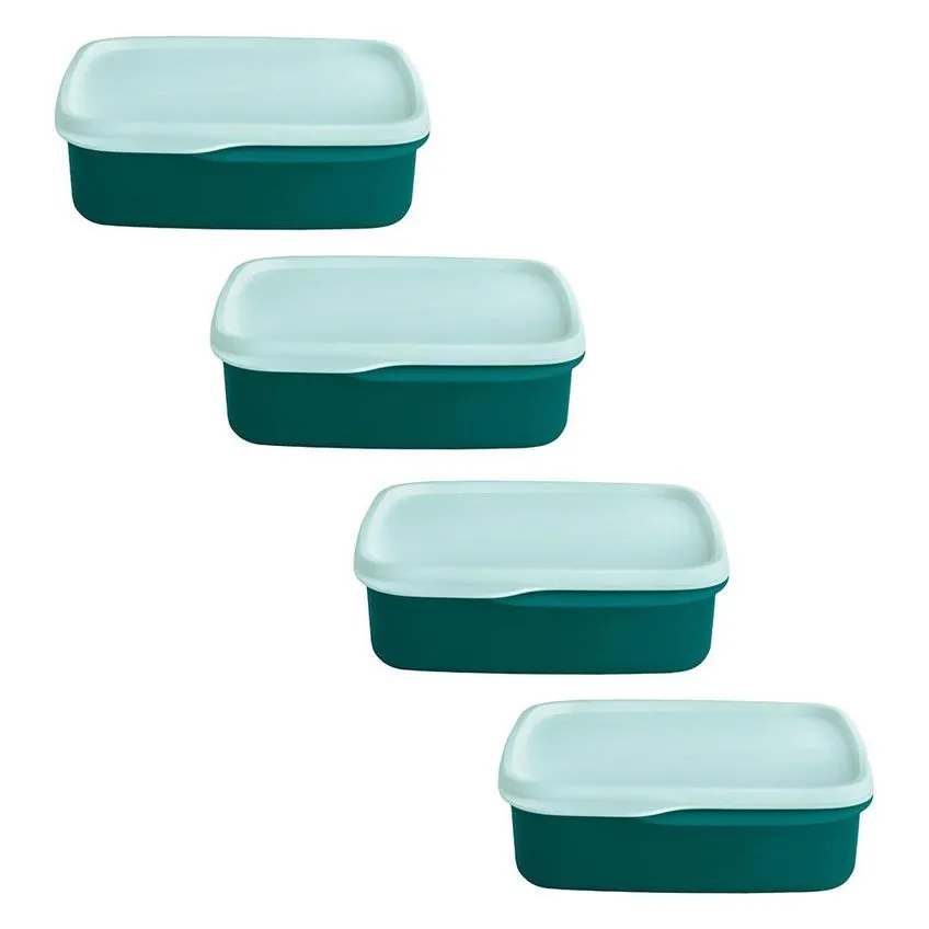 Kit 4 Potes Herméticos Tupperware Basic Line Com Divisória 550ml